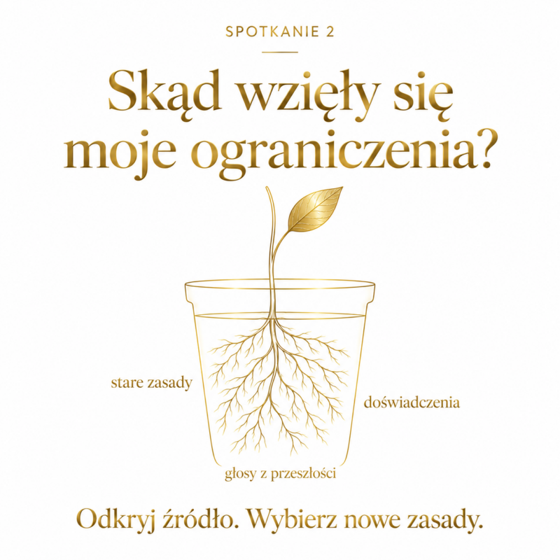 [Warsztat 2] Skąd wzięły się moje ograniczenia?